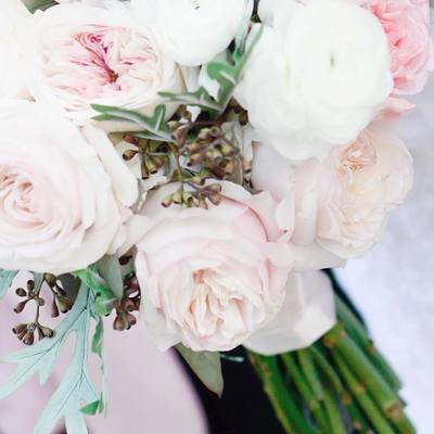 Blush garden roses, white ranunuculus, seeded eucalyptus, dusty miller, hand tied bridal bouquet 